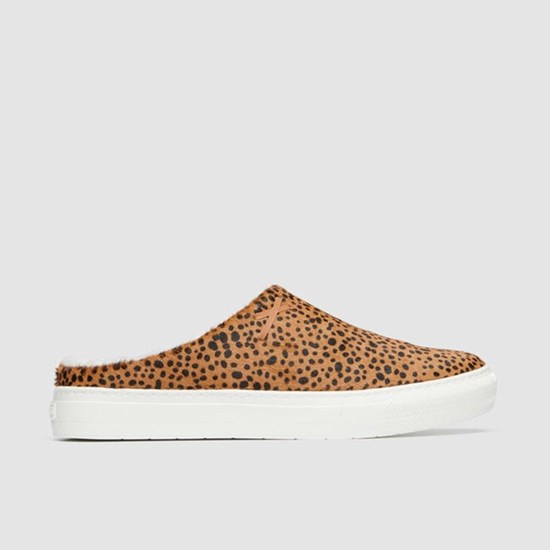 Frankie4 SADiE Women's Flats Cheetah Print | JBH491508