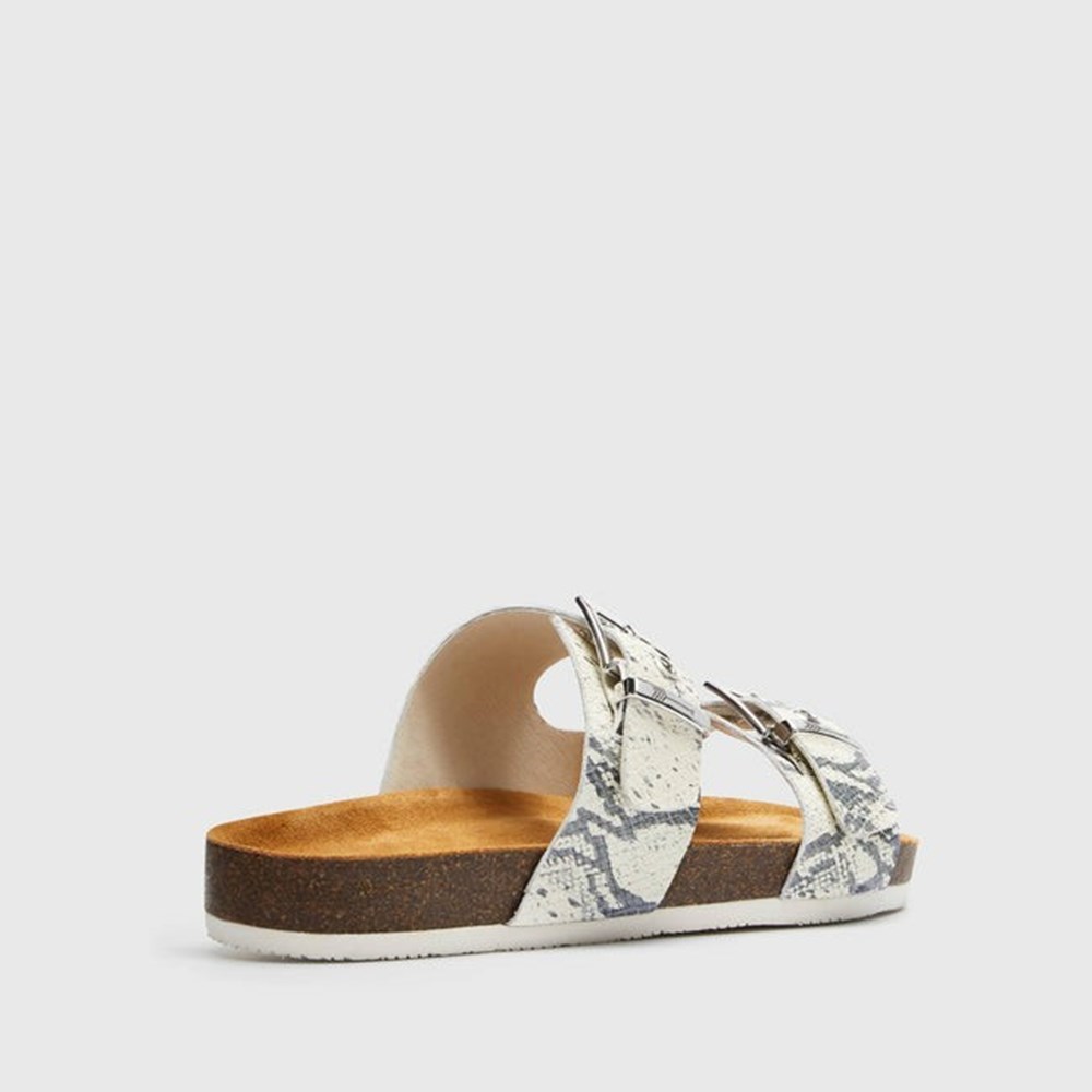 Frankie4 SANDY II Women's Slides & Sandals Snake Print | YCW628531